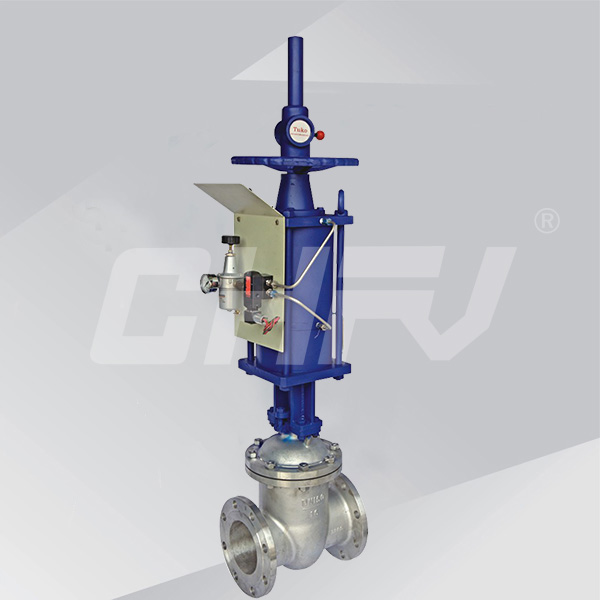  Pneumatic Gate Valve